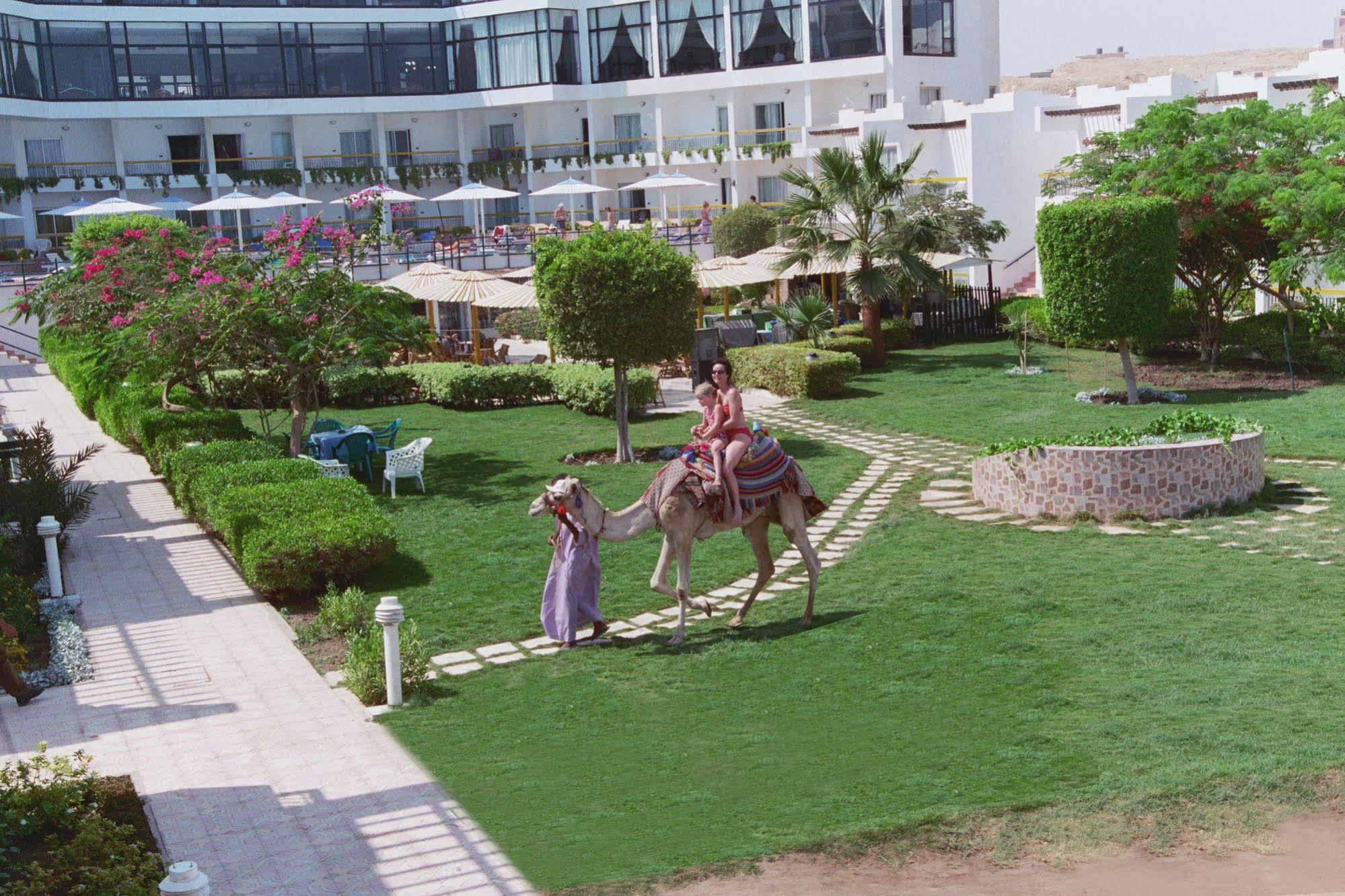 Beirut Hotel ฮูร์กาดา ภายนอก รูปภาพ